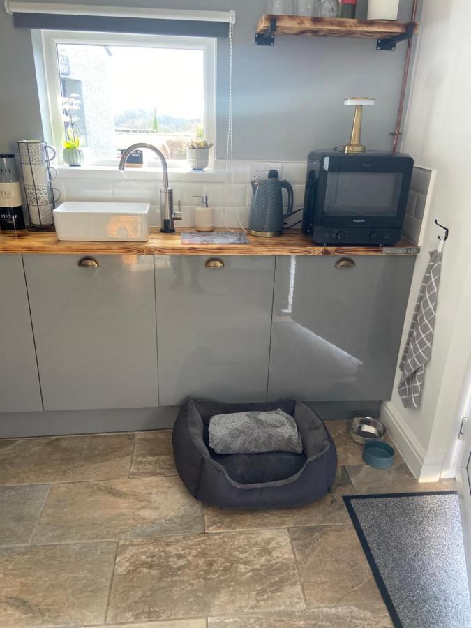 Adorable Bedsit For You, Partner And Your Pet! Stepaside  ภายนอก รูปภาพ